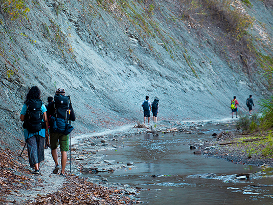 Weekly Group Travel Package